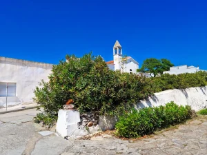 Escursione giornaliera Sardegna